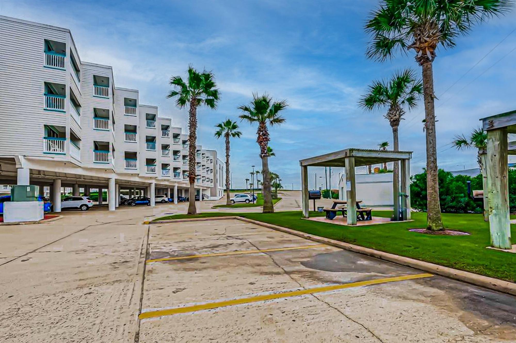 Seawall View